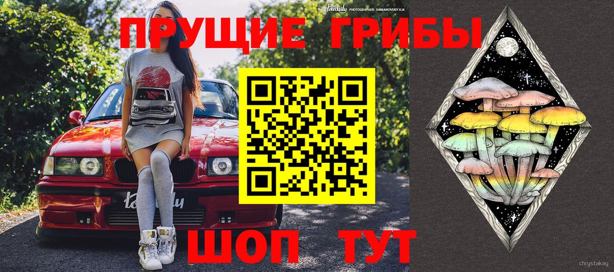 Галлюциногенные грибы Magic Shrooms  Вход с VPN  Новоуральск  Галлюциногенные грибы Cubensis 